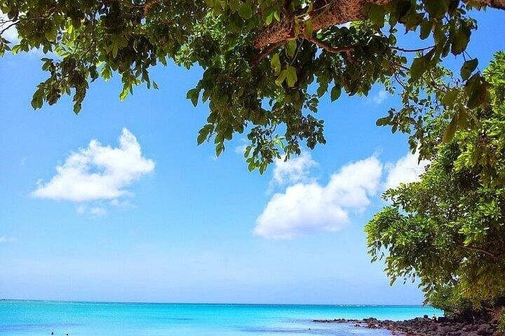 Snorkeling with Giant Turtles and Beach Hopping in Northern Mauritius photo 6