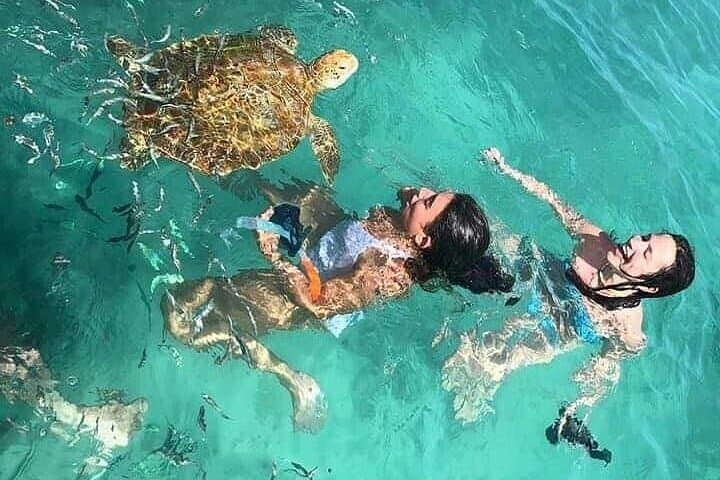 Snorkeling with Giant Turtles and Beach Hopping in Northern Mauritius photo 5