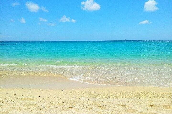 Snorkeling with Giant Turtles and Beach Hopping in Northern Mauritius photo 4