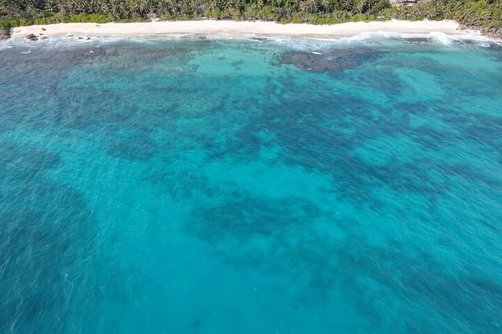 Anse Major & Baie Ternay: Seychelles Snorkel Cruise with Creole BBQ photo 6
