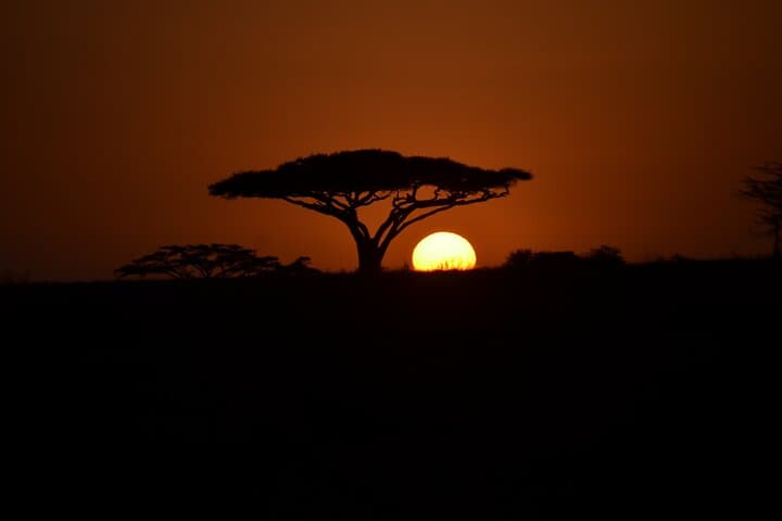 5-Day Private Budget Safari: Tarangire, Serengeti & Ngorongoro Big-5 Experience, Tanzania photo 5