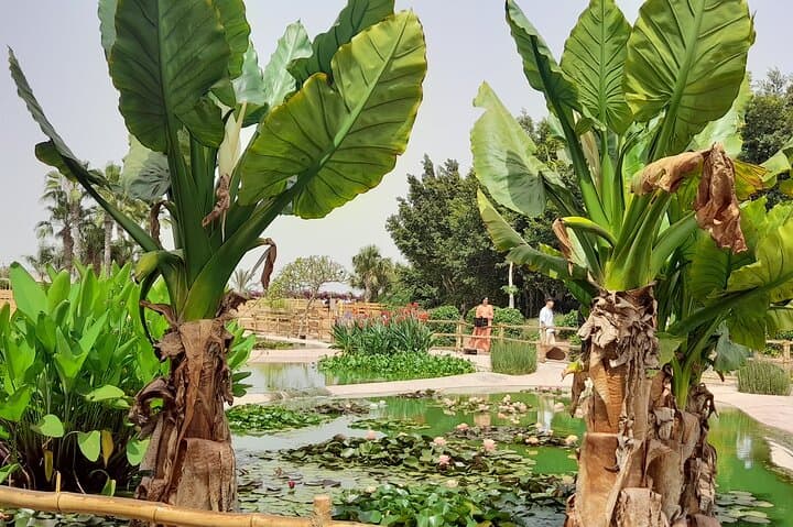 Agadir Crocoparc Half-Day Tour: Crocodiles, Botanical Gardens & Local Guide photo 5