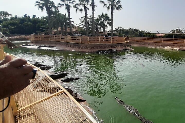 Agadir Crocoparc Half-Day Tour: Crocodiles, Botanical Gardens & Local Guide photo 6