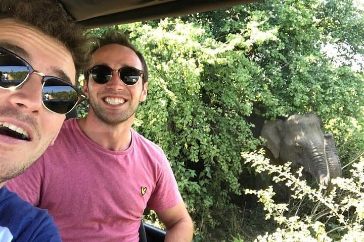 Yala National Park One-Day Jeep Safari from South Coast — See Leopards & Elephants photo 2