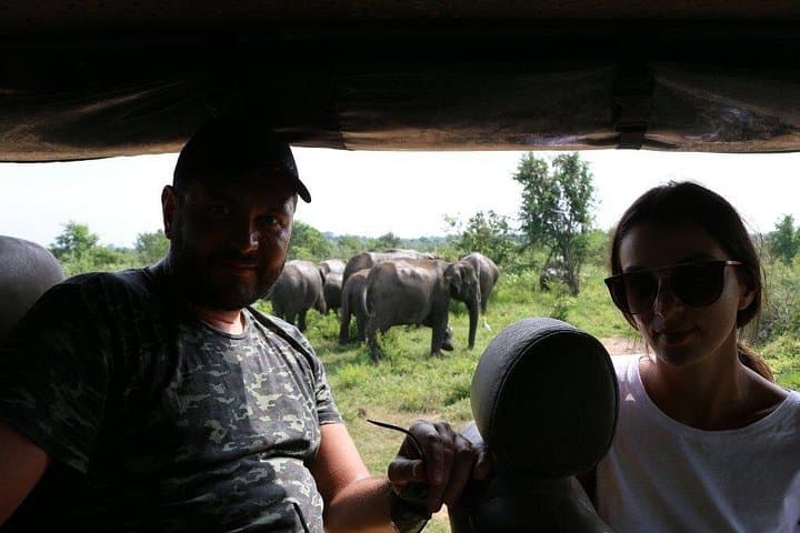 Yala National Park One-Day Jeep Safari from South Coast — See Leopards & Elephants photo 4
