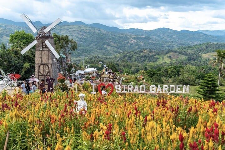 Panoramic Tour of Cebu: Mountain Views, Flower Fields & Farm Lunch photo 3