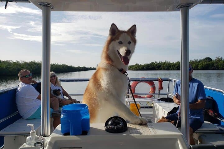 Bark on the Ark: Dog-Friendly Keewaydin Island Cruise from Naples photo 4