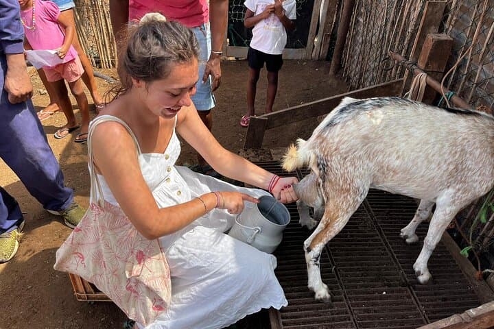 Cabrer Journey: Live a Day Like a Local on Boa Vista
