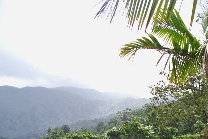 Zipline Over El Yunque: Luquillo Beach & Natural Springs Day Trip photo 4