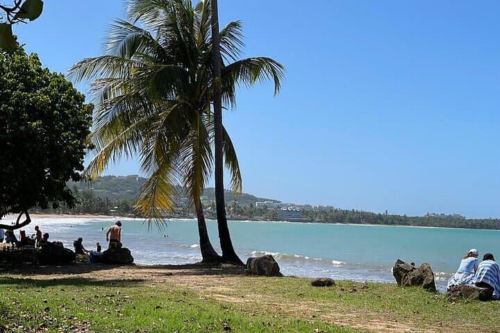 Zipline Over El Yunque: Luquillo Beach & Natural Springs Day Trip photo 5