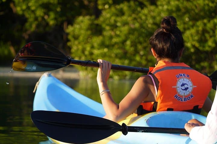 Kayak the Mangroves of Isla Holbox: Guided Wildlife & Canal Expedition photo 1
