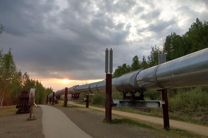 Day Trip to the Arctic Circle from Fairbanks: Yukon River & Finger Mountain Adventure photo 2