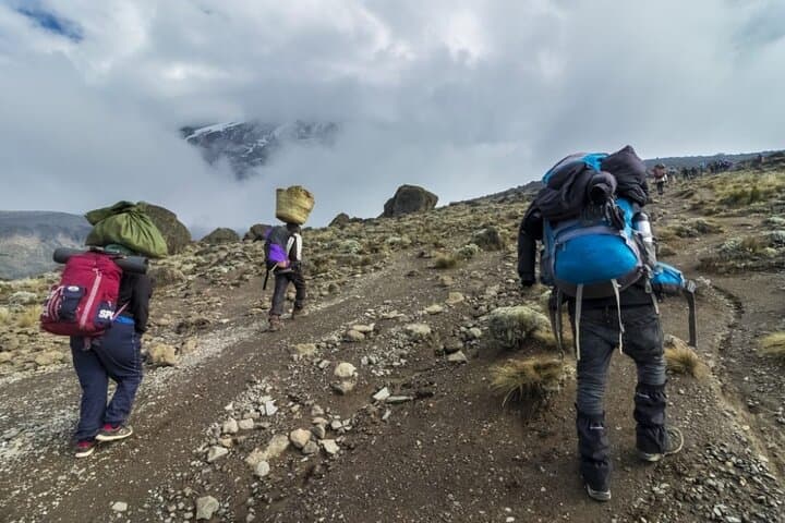 5-Day Marangu Route Kilimanjaro Trek to Uhuru Peak (Summit Guide) photo 2