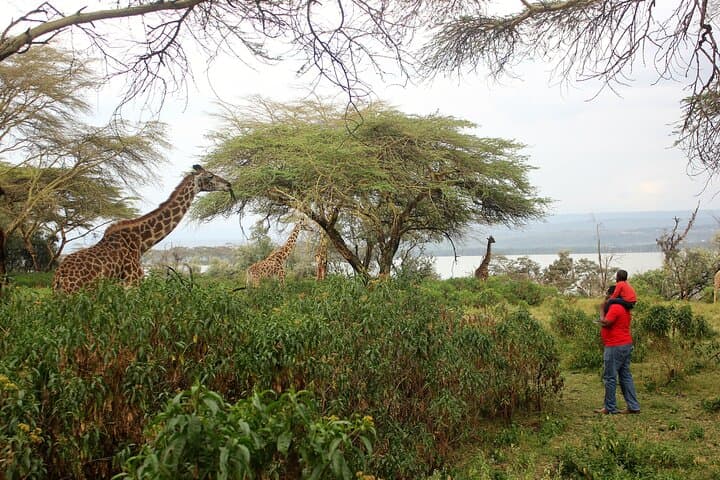 Lake Naivasha & Hell's Gate Day Safari — Bike, Boat and Walking Safaris from Nairobi photo 5