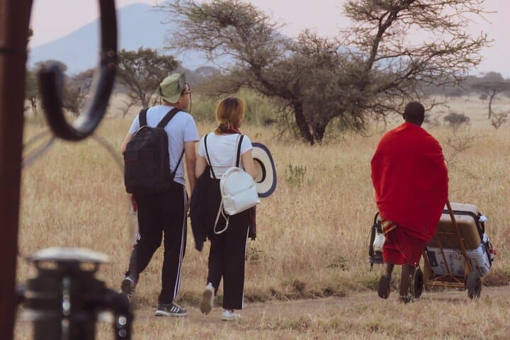5-Day Private Serengeti Safari: Tarangire, Ngorongoro & Lake Manyara photo 6