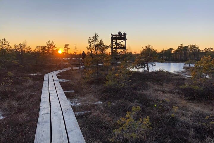 Sunset Walk on the Great Kemeri Bog Boardwalk — Kemeri National Park photo 5