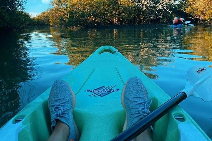 Paddling Al Reem: Mangrove Kayaking Adventure in Abu Dhabi photo 3