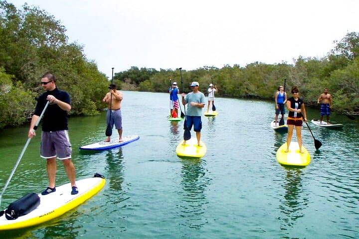 Paddling Al Reem: Mangrove Kayaking Adventure in Abu Dhabi photo 6