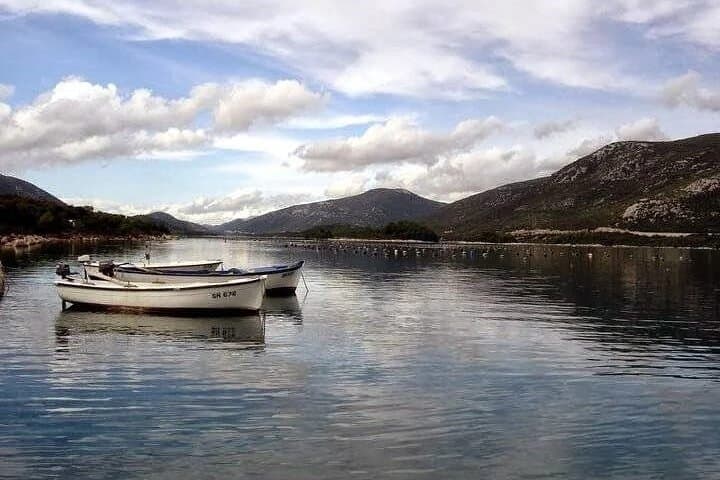 Ston & Pelješac Oyster and Mussel Tasting with Wine: Bay-to-Table Adriatic Experience