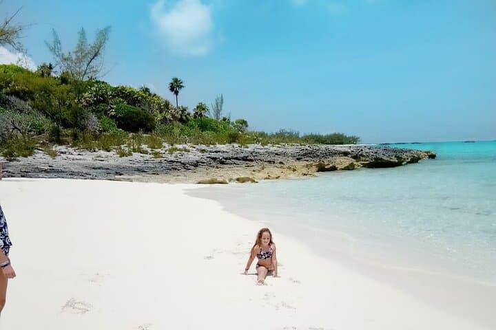 Escape to Eleuthera: Snorkel Reefs, Pink Sands & Swimming Pigs photo 3