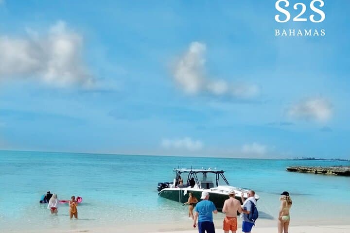 Escape to Eleuthera: Snorkel Reefs, Pink Sands & Swimming Pigs photo 6
