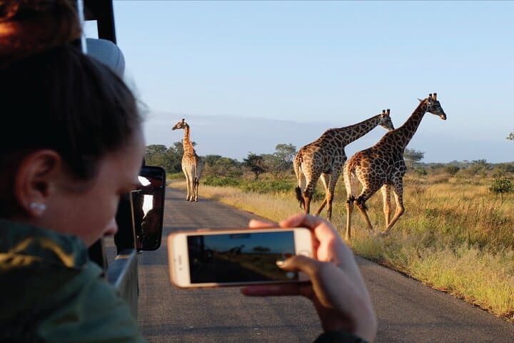 When the Mara Runs: Witnessing the Wildebeest Migration in Masai Mara photo 5