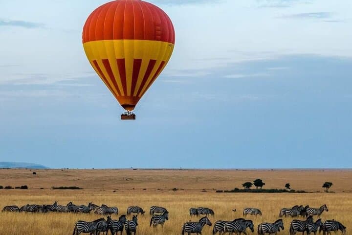 When the Mara Runs: Witnessing the Wildebeest Migration in Masai Mara photo 6