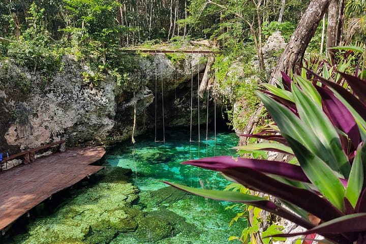 Coastal Ruins Cenote Swim and Playa del Carmen Day Trip from Cancun photo 4