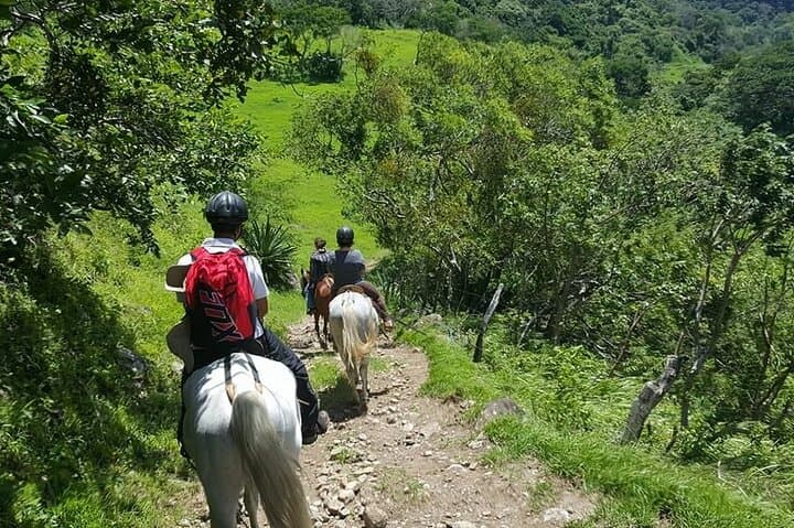 From Sea to Sky: The Ultimate 6-Day Private Tour Experience in Costa Rica photo 5