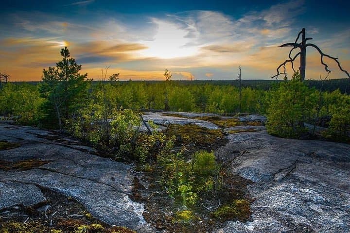Survival Hike in Tyresta National Park: Ancient-Forest Skills Near Stockholm photo 3