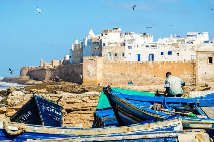 Marrakech to Essaouira Full-Day Excursion: Coast, Medina & Argan Cooperatives