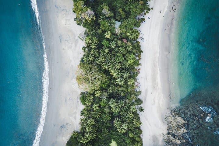 Day Trip to Manuel Antonio National Park from San José — Beaches, Rainforest Trails & Wildlife
