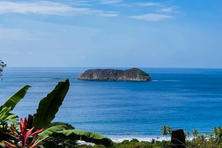 Day Trip to Manuel Antonio National Park from San José — Beaches, Rainforest Trails & Wildlife photo 3