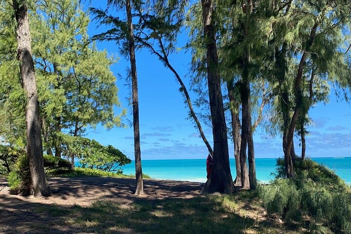 Luxury Private Circle Island Charter: Custom Oahu Boat & Shore Tour photo 2