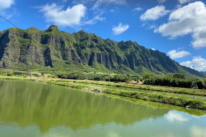 Luxury Private Circle Island Charter: Custom Oahu Boat & Shore Tour photo 4