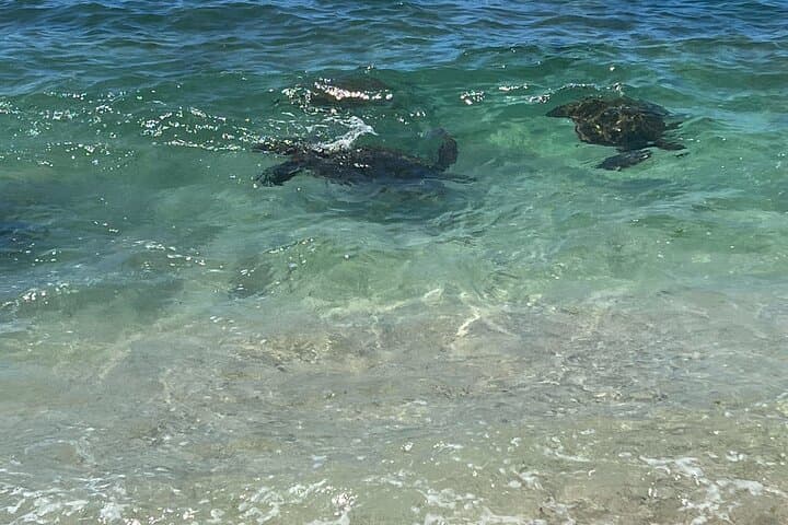 Luxury Private Circle Island Charter: Custom Oahu Boat & Shore Tour photo 6