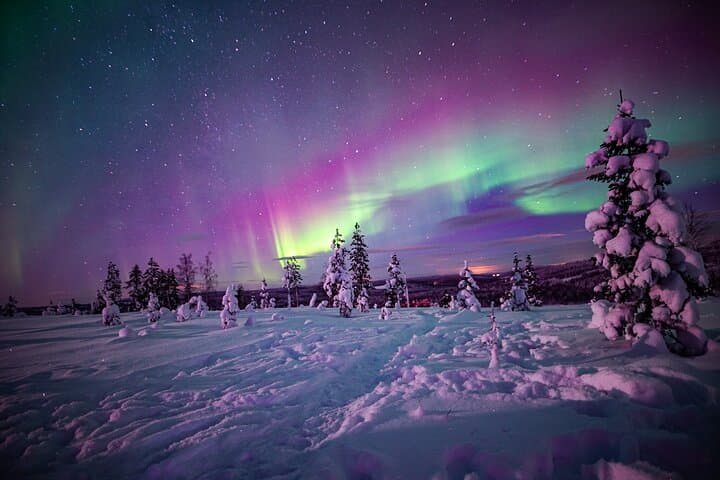 Night Snowshoeing Under the Northern Lights — Rovaniemi Arctic Adventure