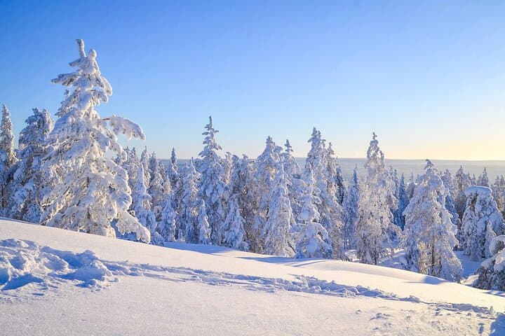 Rovaniemi Snowmobile Safari: 1-Hour Arctic Ride Through Lapland Wilderness photo 6