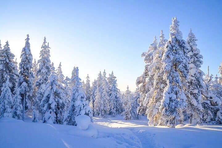 Family Snowmobile Sledge Ride in Rovaniemi — Lapland Winter Excursion photo 6