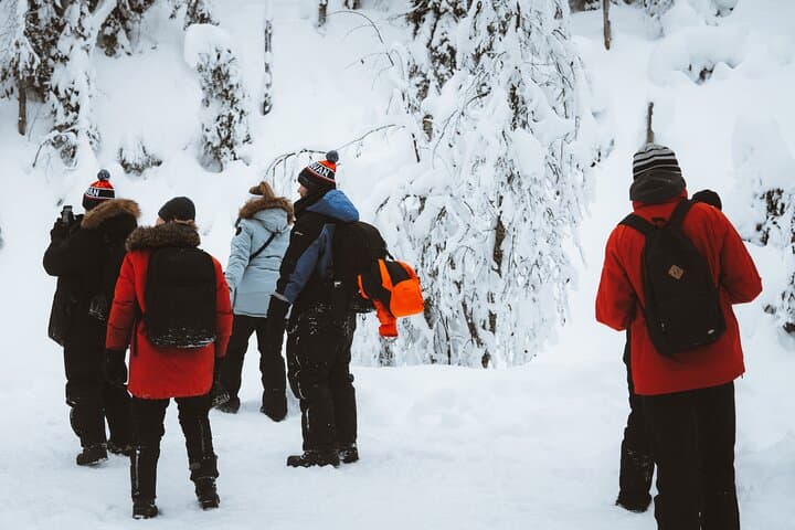 Korouoma Canyon Frozen Waterfalls: Winter Hike from Rovaniemi photo 6