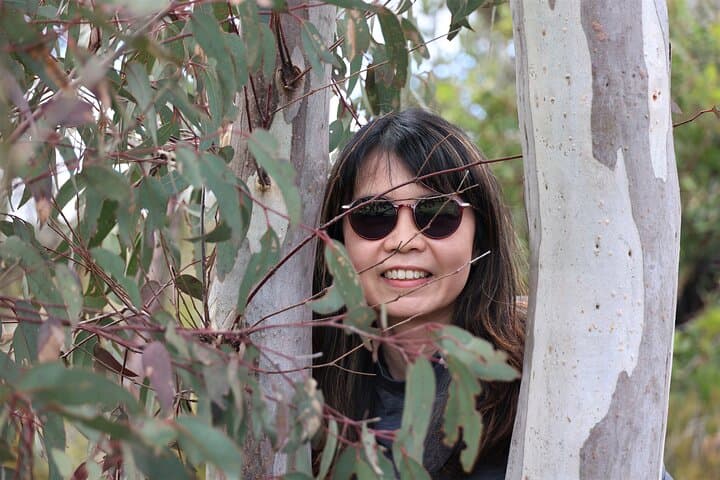 Blue Mountains Private Tour: Echo Point, Govetts Leap & Scenic World from Katoomba photo 2