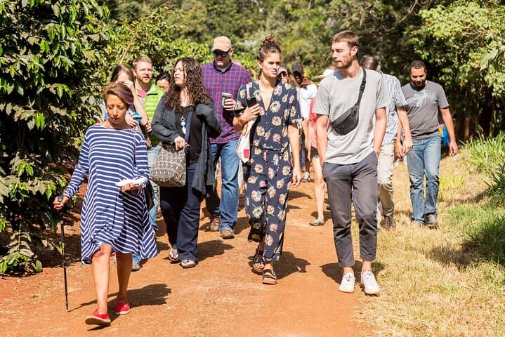 Fairview Coffee Farm Tour: Half-Day Farm-to-Cup Experience Near Nairobi photo 4