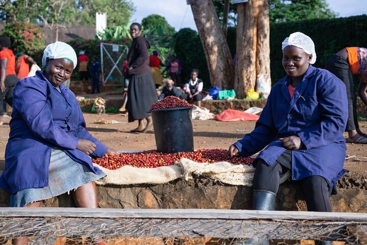 Fairview Coffee Farm Tour: Half-Day Farm-to-Cup Experience Near Nairobi photo 2