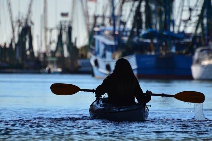 Paddle with Dolphins on Shem Creek: Charleston Kayak Eco Tour photo 2
