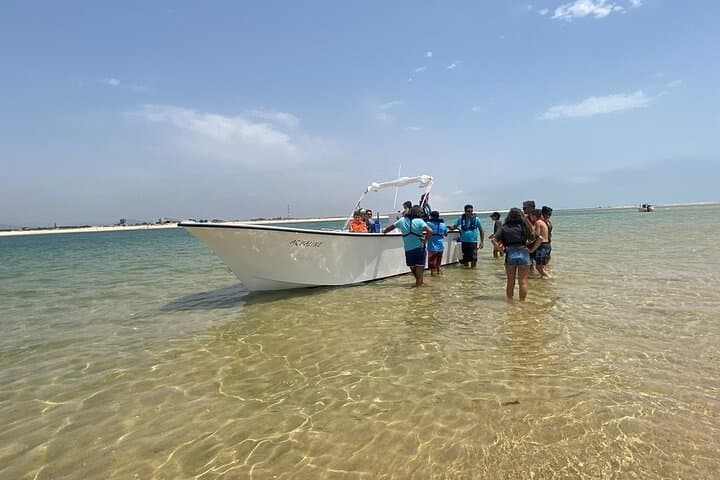 Private 3-Hour Boat Tour of Ria Formosa: Deserta, Farol & Culatra with Oyster Tasting photo 3