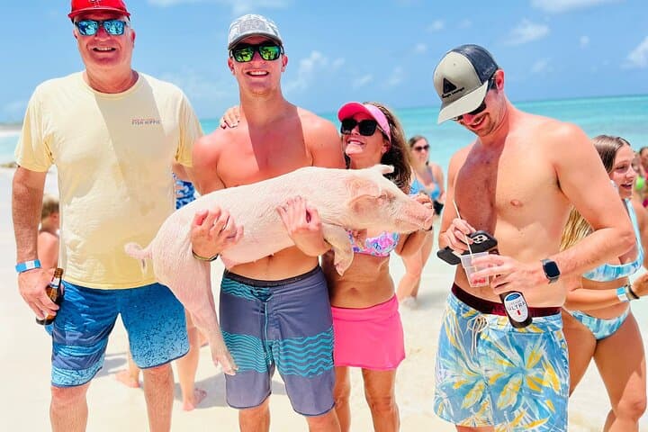 Rose Island Beach Day: Swimming Pigs, Turtle Sanctuary & Reef Snorkel from Nassau photo 5