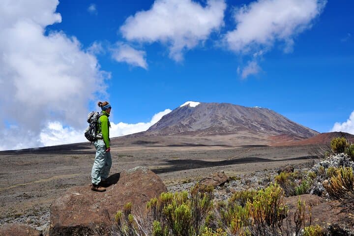 9-Day Lemosho Route Kilimanjaro Trek: Summit Uhuru Peak