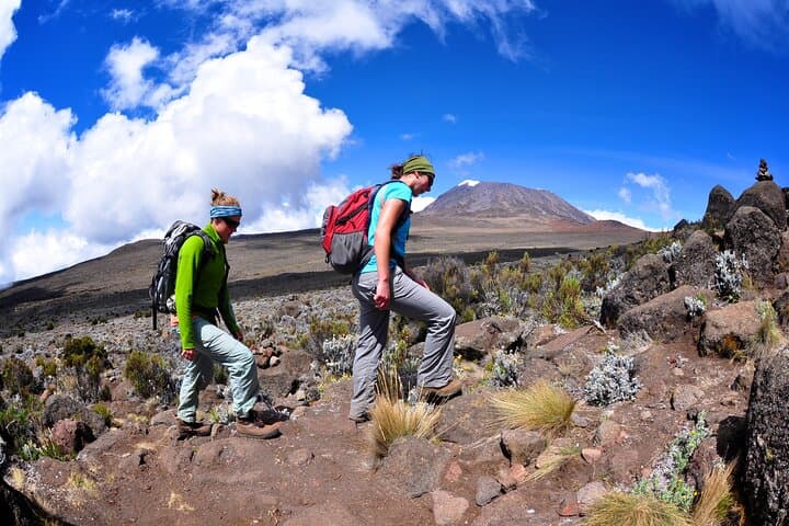 9-Day Lemosho Route Kilimanjaro Trek: Summit Uhuru Peak photo 2