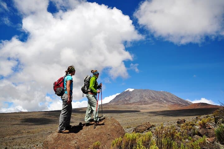 9-Day Lemosho Route Kilimanjaro Trek: Summit Uhuru Peak photo 5