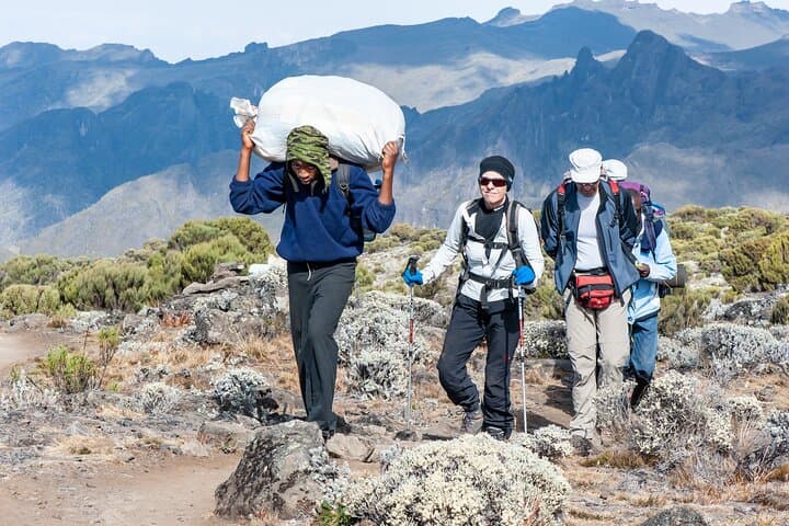 Rongai Route: 5-Day Kilimanjaro Summit via Rongai photo 4